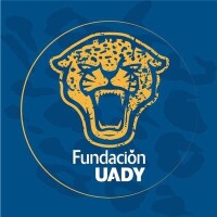 Fundación uady ac
