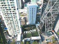 Falcon sky football