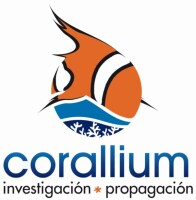 Corallium s.a. de c.v.