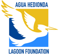 Agua foundation
