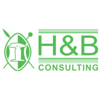H&b consulting