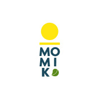 Momik agencia de diseño y comunicación