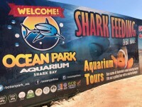 Ocean Park Aquarium, Shark Bay
