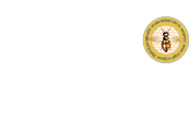 Sri lanka insurance