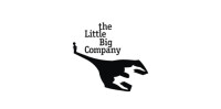The Little Big Company