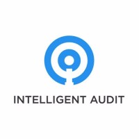 Intelligent audit