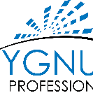 Cygnus professionals inc.