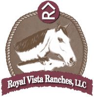 Royal Vista Equine