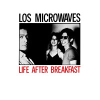 Los Microwaves - Band