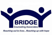 Bridge counseling associates