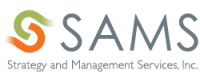 Strategy and management services, inc. (sams)