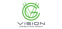 Vision consulting