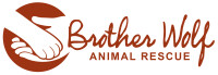 Brother wolf animal rescue