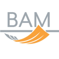 Bam advisor services