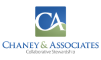 Chaney & Associates