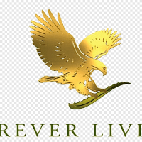 Forever living health & beauty products