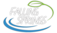 Falling spring nursing & rehab