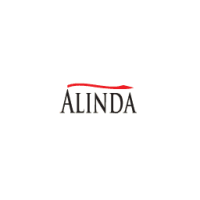 Alinda capital partners llc