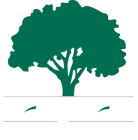 Saroyan lumber