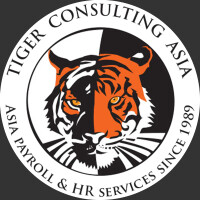 Tiger team consulting
