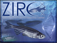 Zebrafish international resource center (zirc)