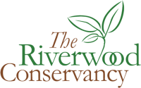 Riverwood Campaign now Riverwood Conservancy
