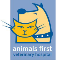 First veterinary supply