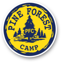 Pine forest camp