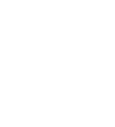 Bear electric