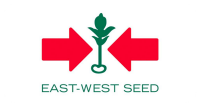East-west seed