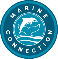 Marine connection