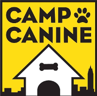 Camp canine ny