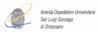 AOU san Luigi Gonzaga Orbassano - reparto di Urologia