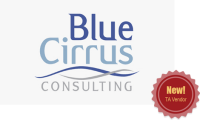 Blue cirrus consulting