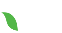 Madison women's health, llp