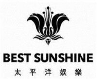 Best sunshine international limited
