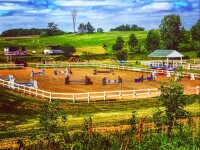 Warwick Equestrian Development