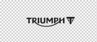 Triumph EPCM Ltd.