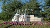 Reston painting & contracting