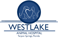 Westlake village animal hospital