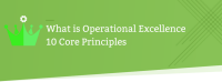 The operations excellence group