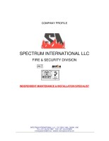 Spectrum international llc