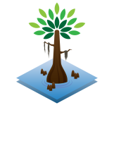 Cypress medical management group