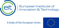The european institute