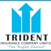 Trident insurance company ltd