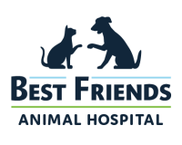 Best friends veterinary hospital