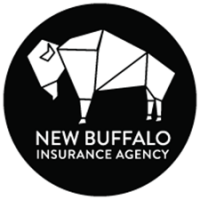 Buffalo insurance group llc