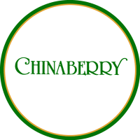 Chinaberry, inc.