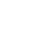 Executive security services llc
