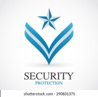 Corporate security
